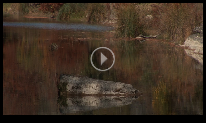 Wimberley Blanco River